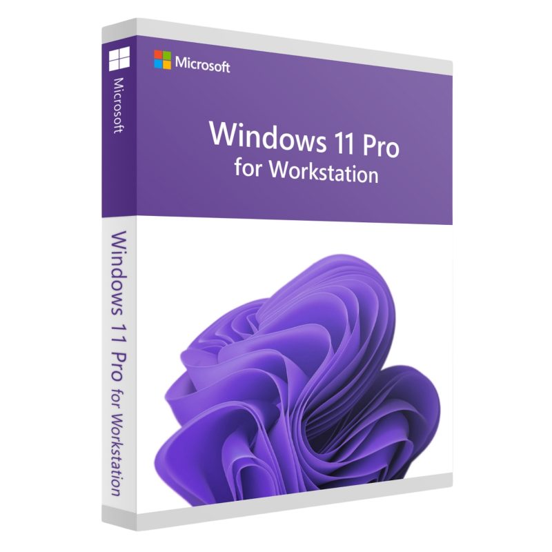 Windows 11 Pro for Workstation