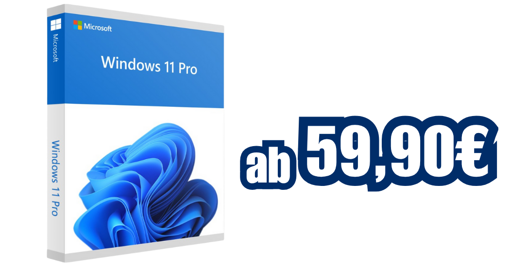 Windows 11 Pro Angebot