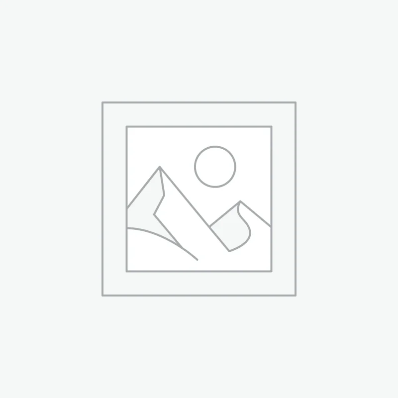 Windows 11 Professional