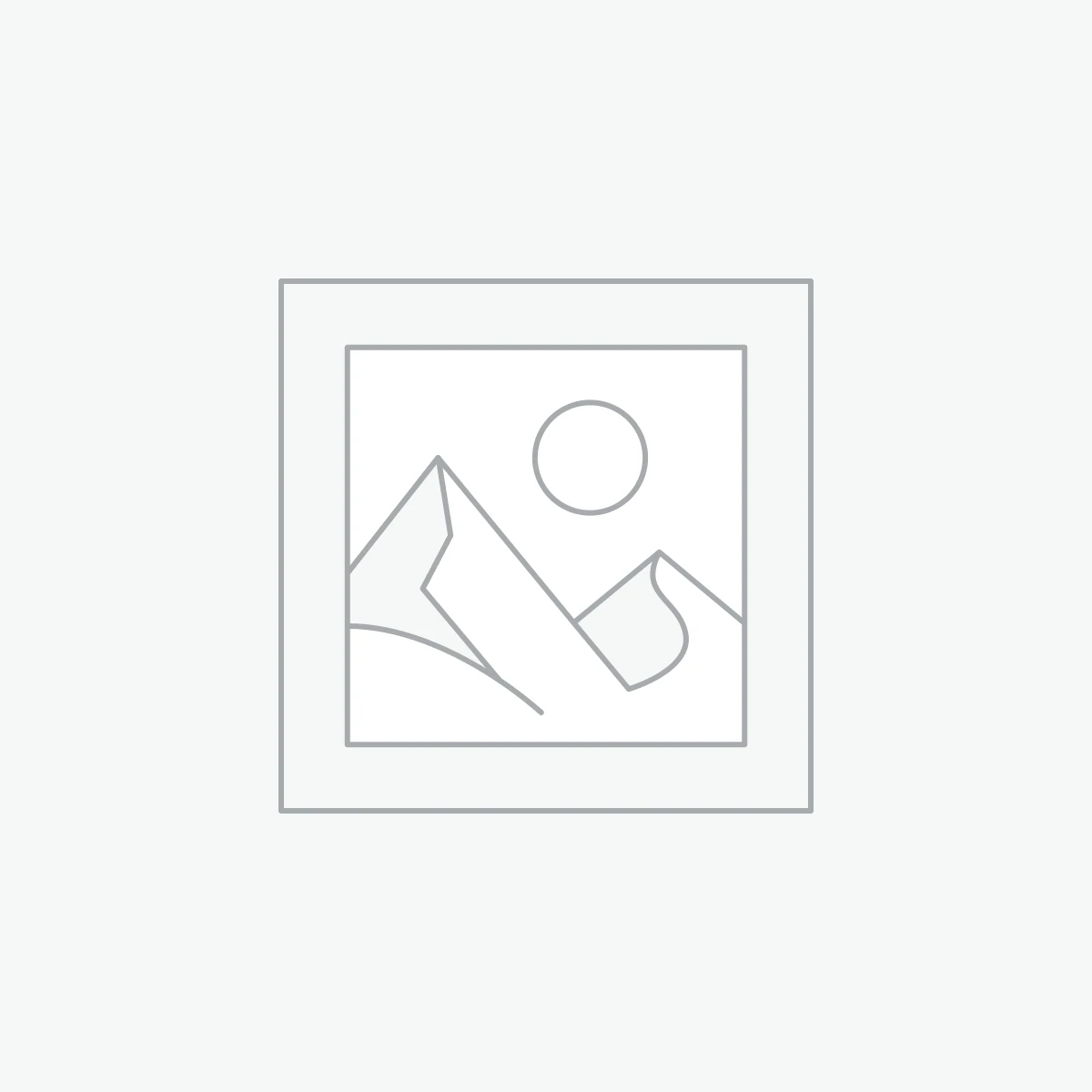 Windows 11 Professional